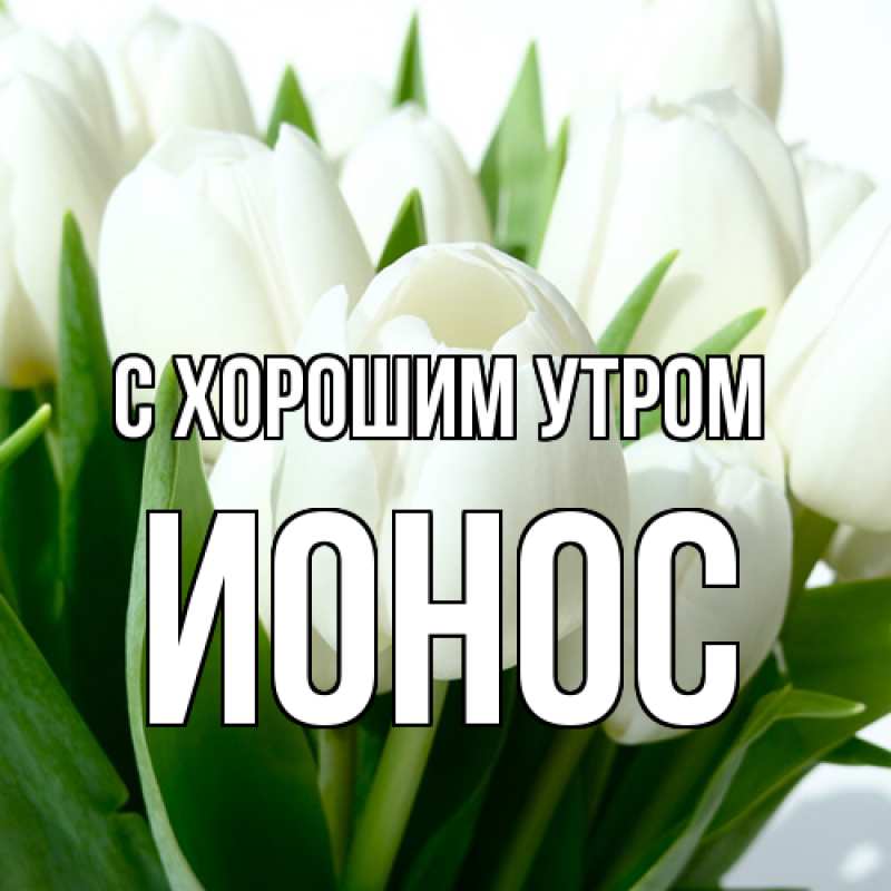 Картинка С хорошим утром, Ионос