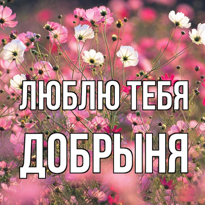 Картинка Люблю тебя, Добрыня