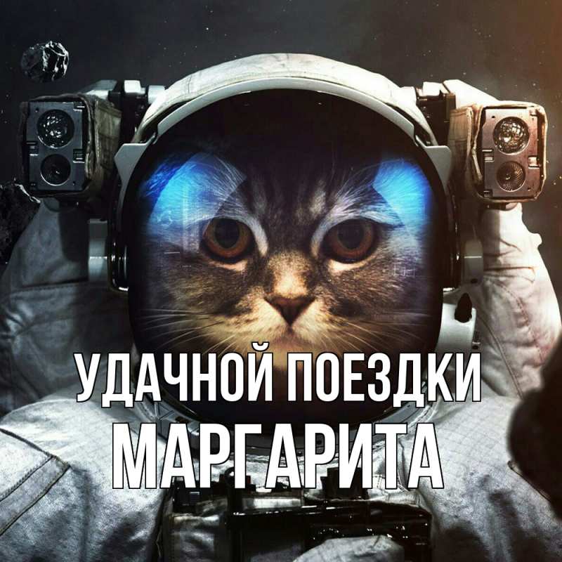 Картинка Удачной поездки, Маргарита