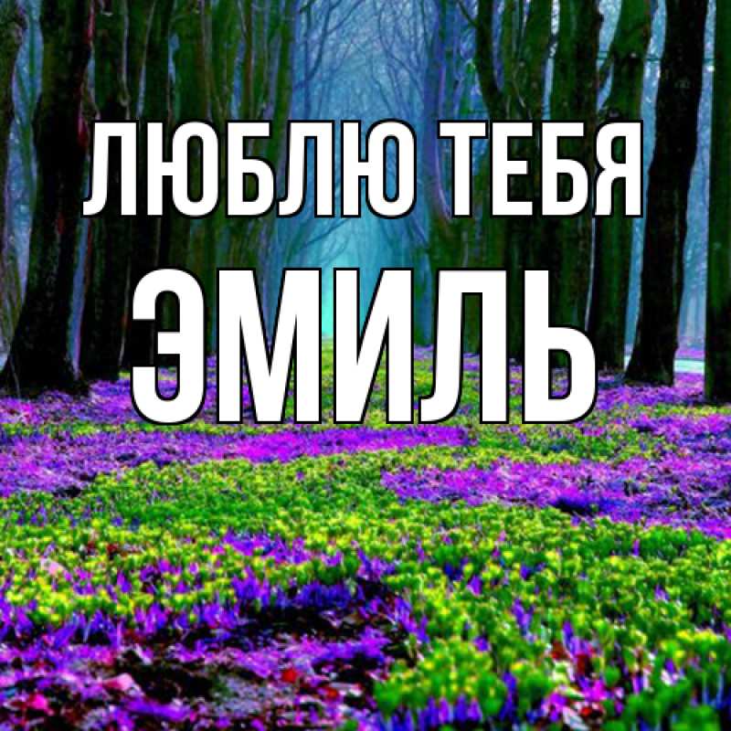 Картинка Люблю тебя, Эмиль