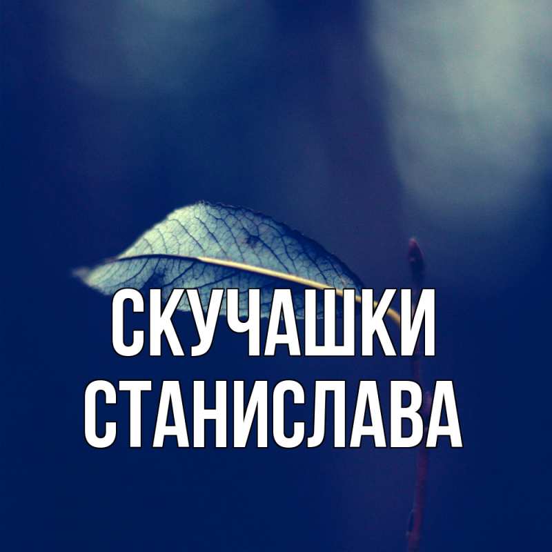 Открытка с именем, Станислава, Скучашки