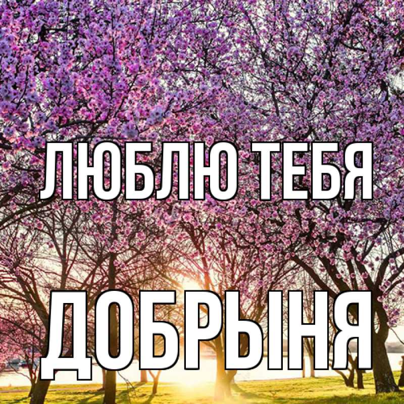 Картинка Люблю тебя, Добрыня