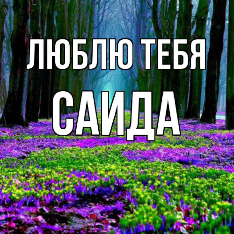 Картинка Люблю тебя, Саида