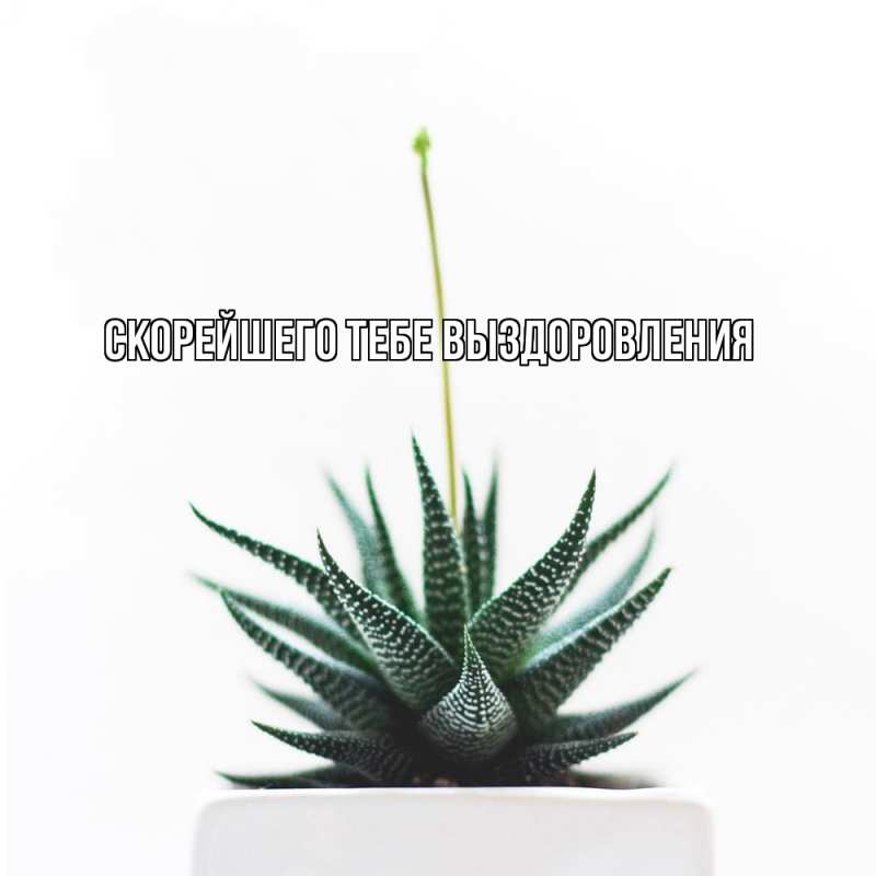 Картинка Скорейшего тебе выздоровления, 