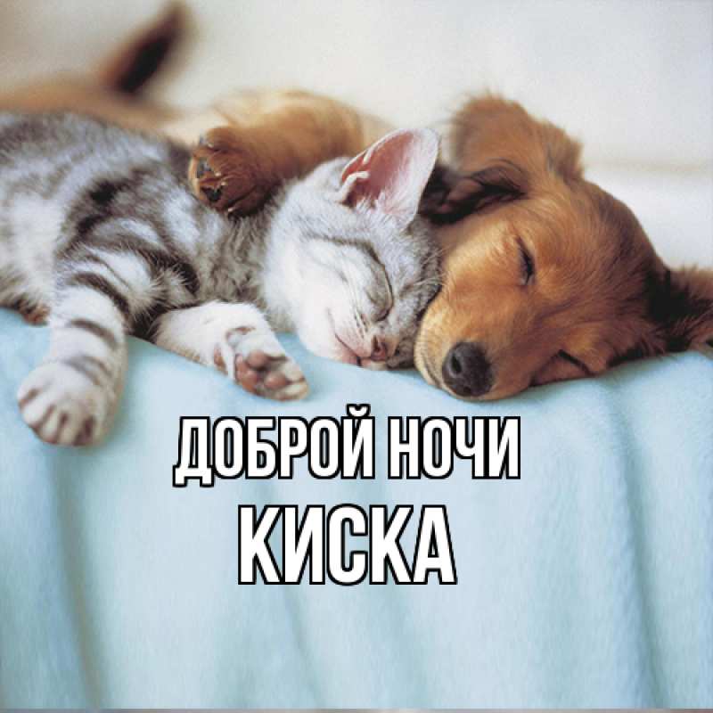 Картинка Доброй ночи, Киска