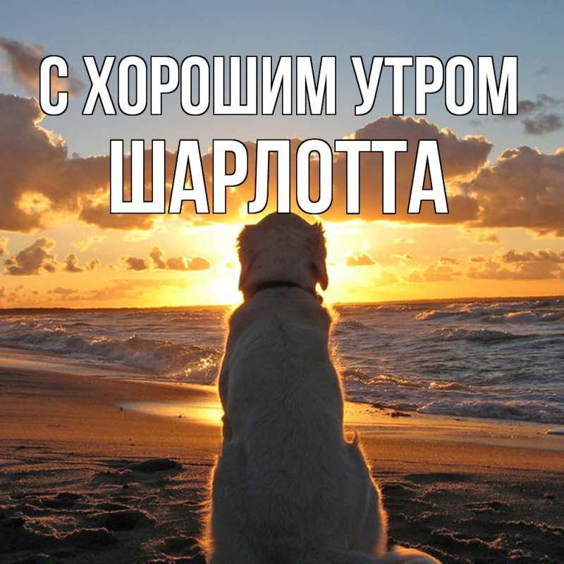 Картинка С хорошим утром, Шарлотта
