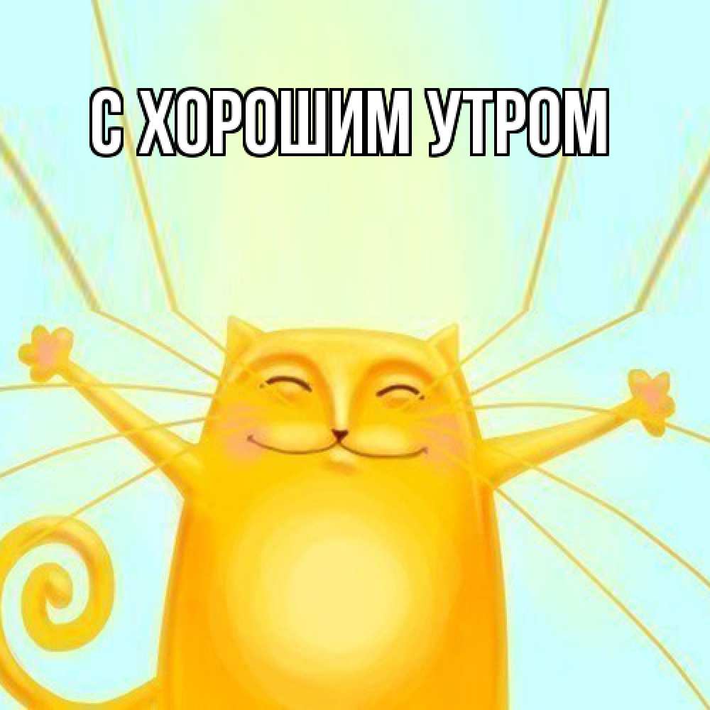 Открытка на каждый день с именем, Алена Обнимашки солнечный обнимашечный кот Прикольная открытка с пожеланием онлайн скачать бесплатно 