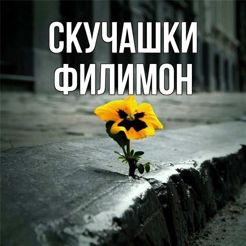 Картинка Скучашки, Филимон