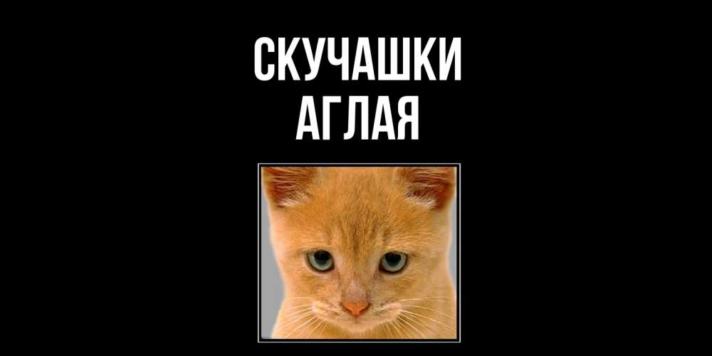 Открытка на каждый день с именем, Аглая Скучашки открытки рыжий котенок скучает по тебе Прикольная открытка с пожеланием онлайн скачать бесплатно 