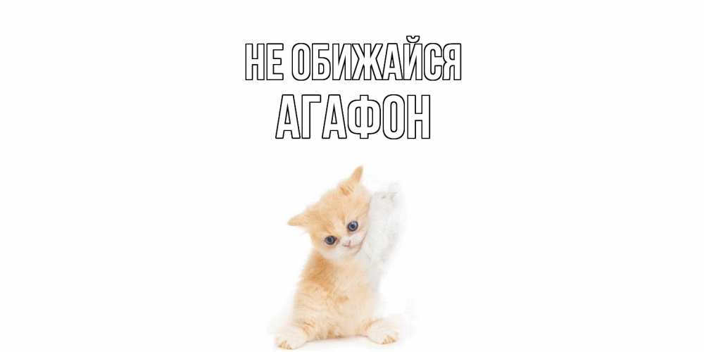 Открытка на каждый день с именем, Агафон Не обижайся кот Прикольная открытка с пожеланием онлайн скачать бесплатно 