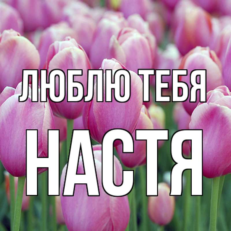 Картинка Люблю тебя, Настя