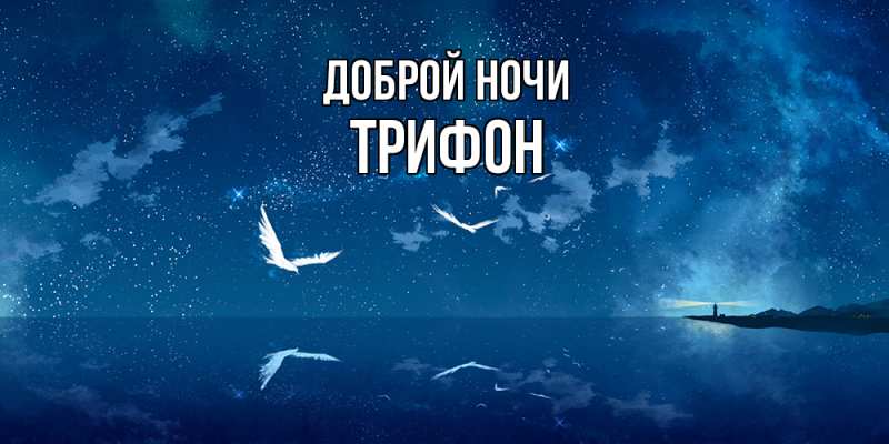 Картинка Доброй ночи, Трифон