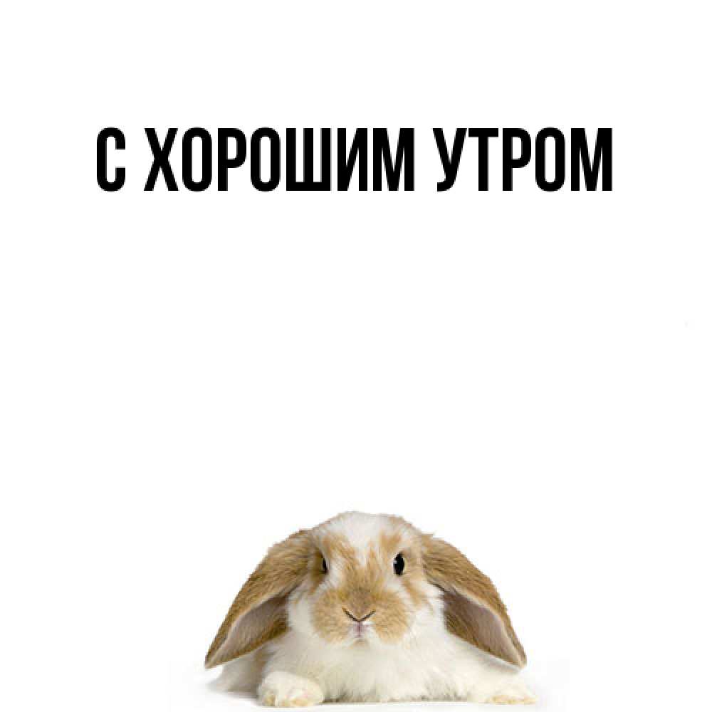 Открытка на каждый день с именем, Клим Удачи тебе открытки с произвольным текстом который можно вставить в открытку и создать ее самостоятельно бесплатно онлайн Прикольная открытка с пожеланием онлайн скачать бесплатно 