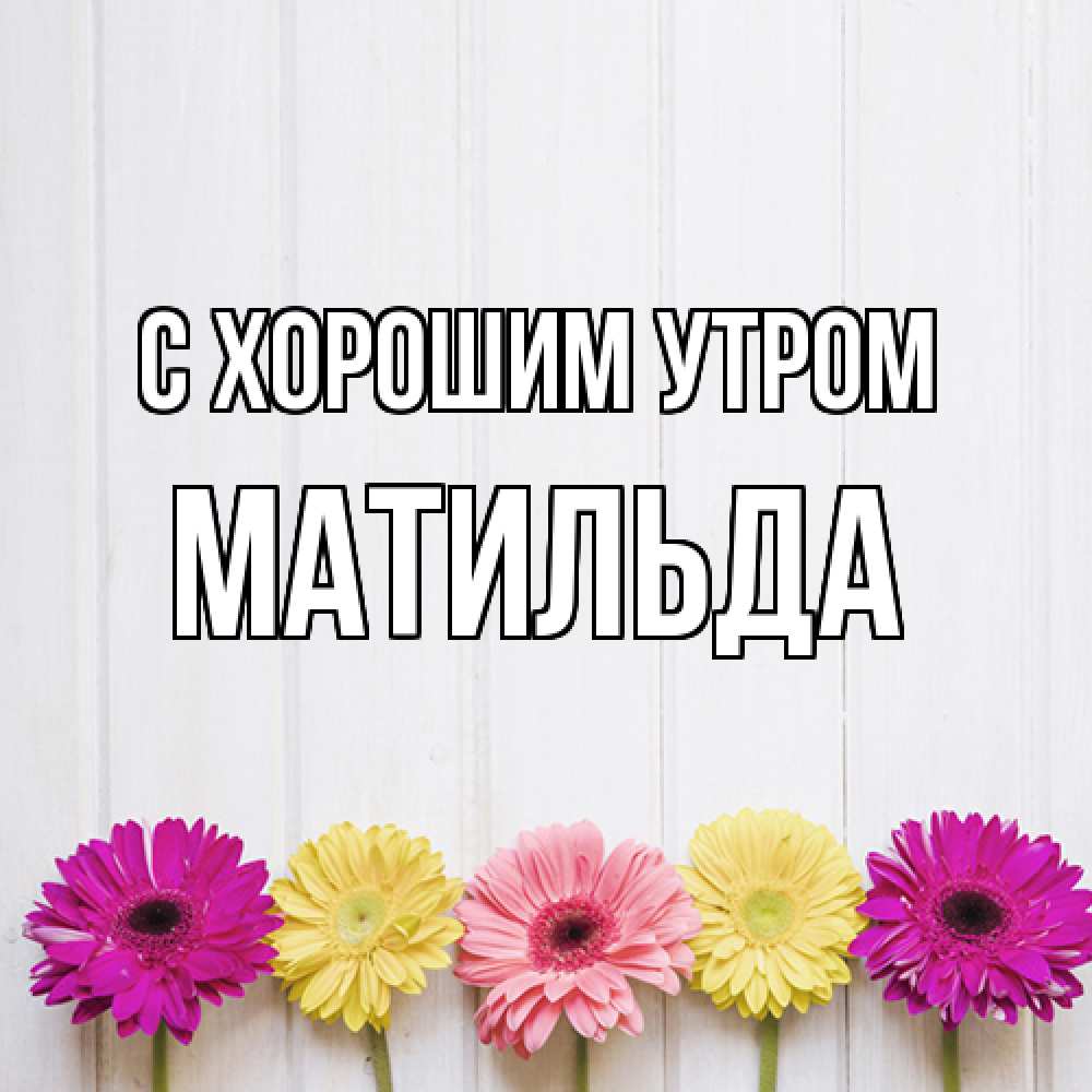 Открытка на каждый день с именем, Матильда С хорошим утром красный желтый и розовый цветок Прикольная открытка с пожеланием онлайн скачать бесплатно 