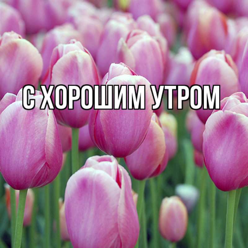 Открытка с именем, Марк, Люблю тебя