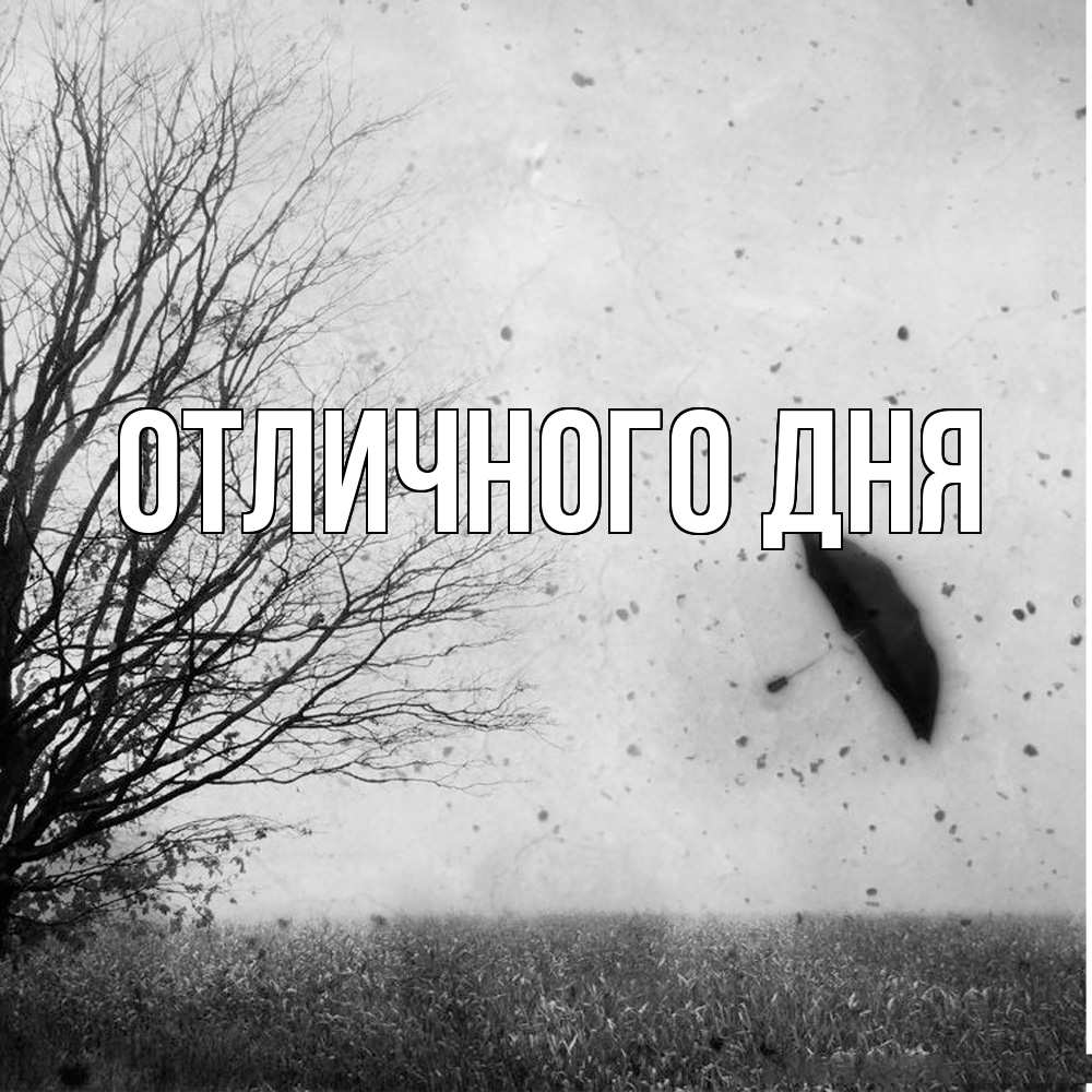 Открытка на каждый день с именем, Стас Скучашки зонт летит Прикольная открытка с пожеланием онлайн скачать бесплатно 