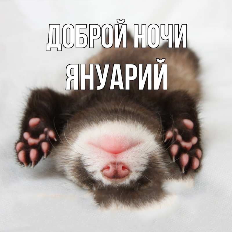 Картинка Доброй ночи, Януарий