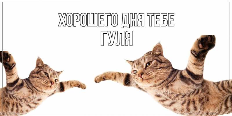 Открытка с именем, Гуля, Хорошего дня тебе
