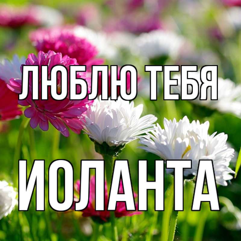 Картинка Люблю тебя, Иоланта