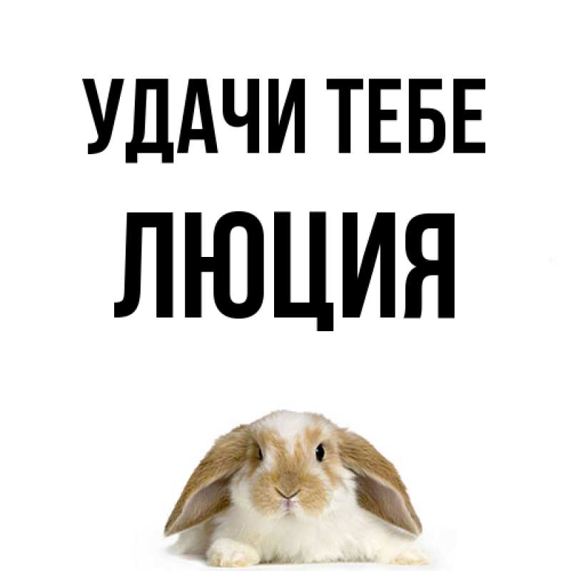Картинка Удачи тебе, Люция