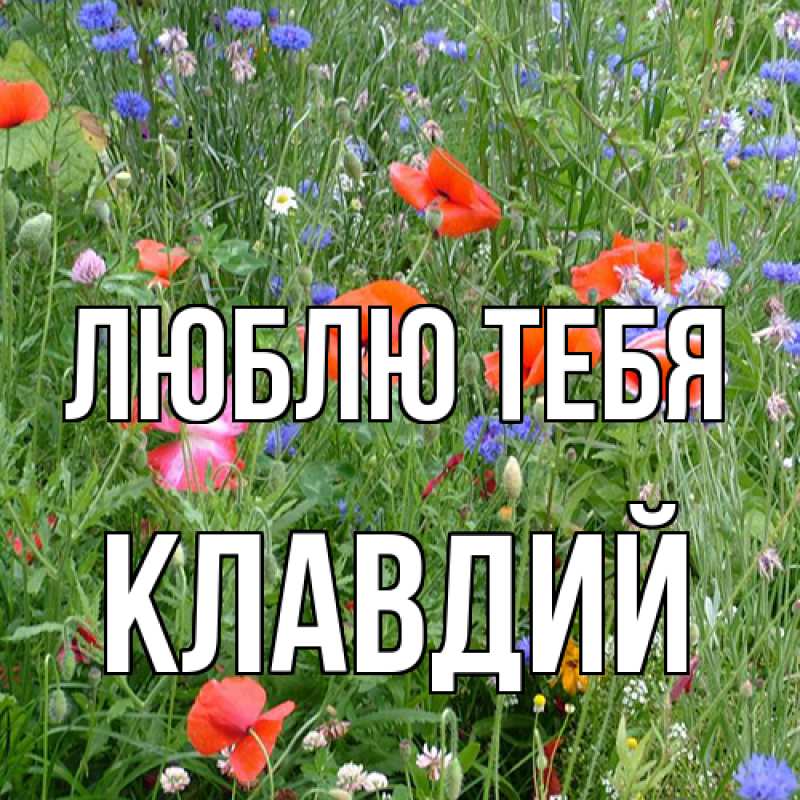 Картинка Люблю тебя, Клавдий