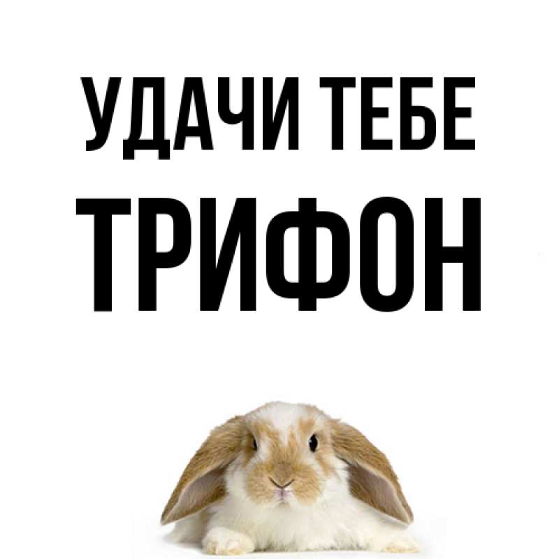 Картинка Удачи тебе, Трифон