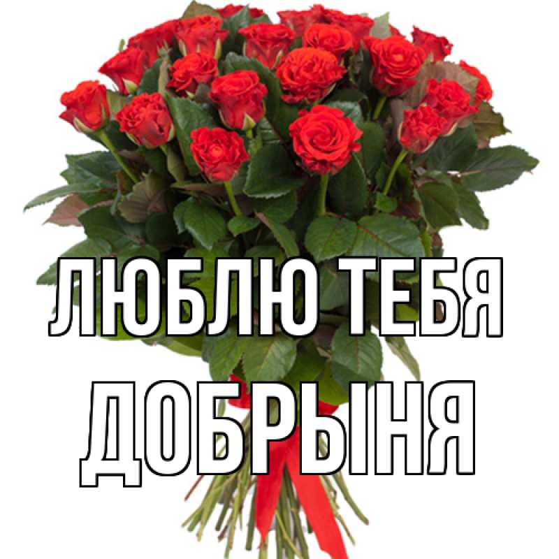 Картинка Люблю тебя, Добрыня