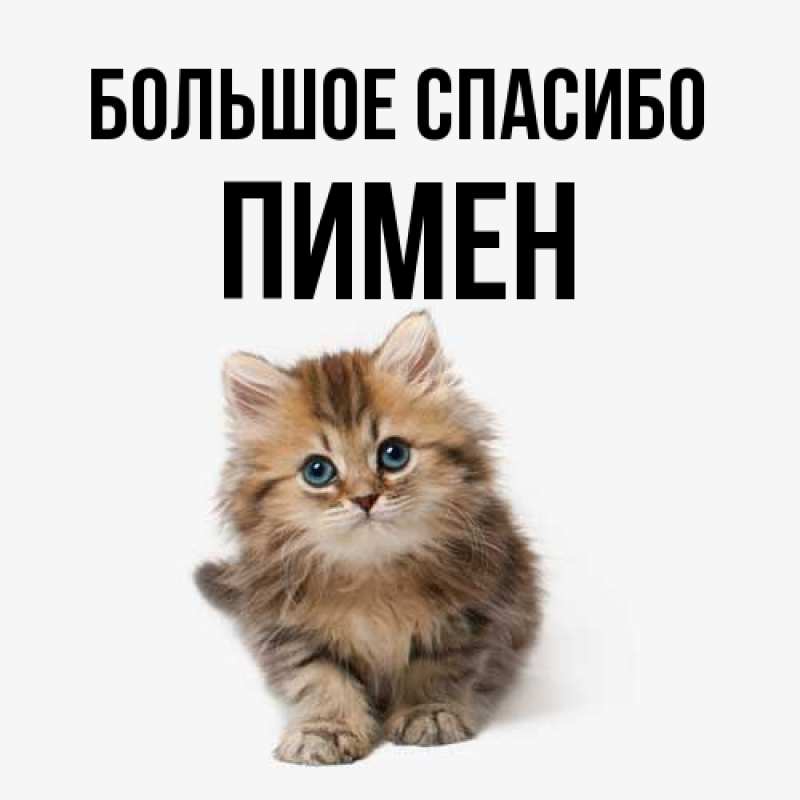 Картинка Большое спасибо, Пимен