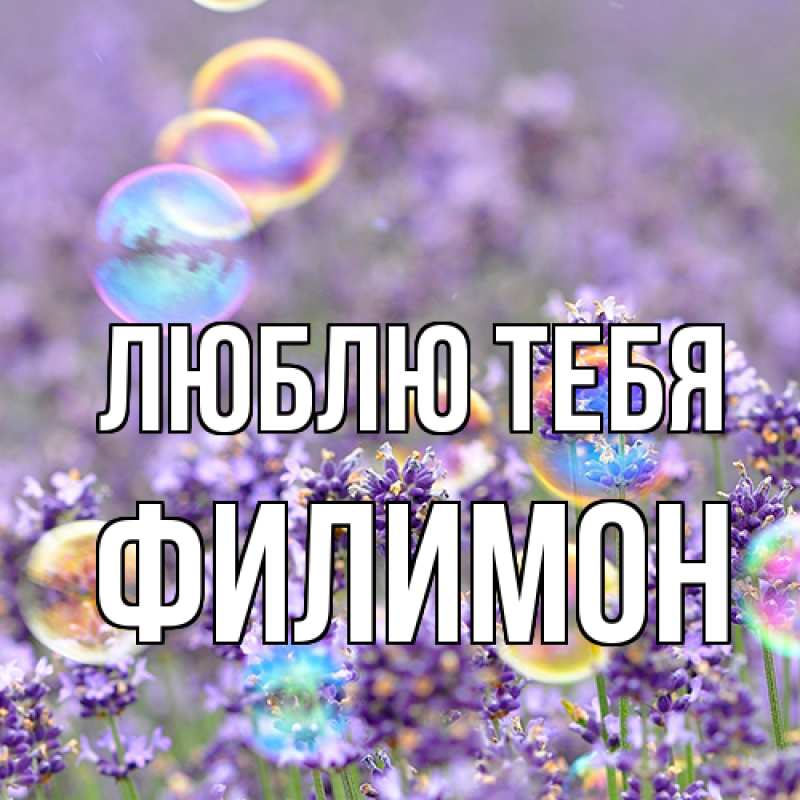 Картинка Люблю тебя, Филимон