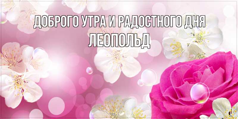 Картинка Доброго утра и радостного дня, Леопольд
