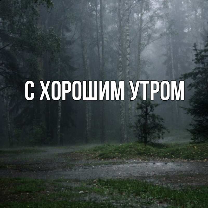 Картинка Скучашки, Густав