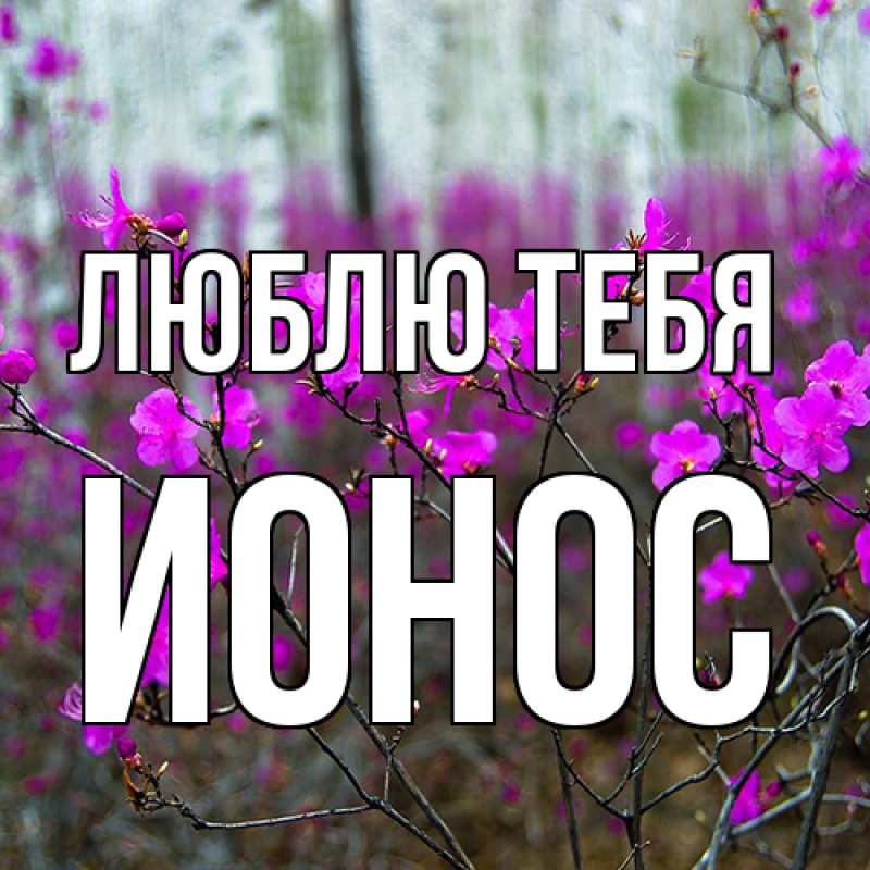 Картинка Люблю тебя, Ионос