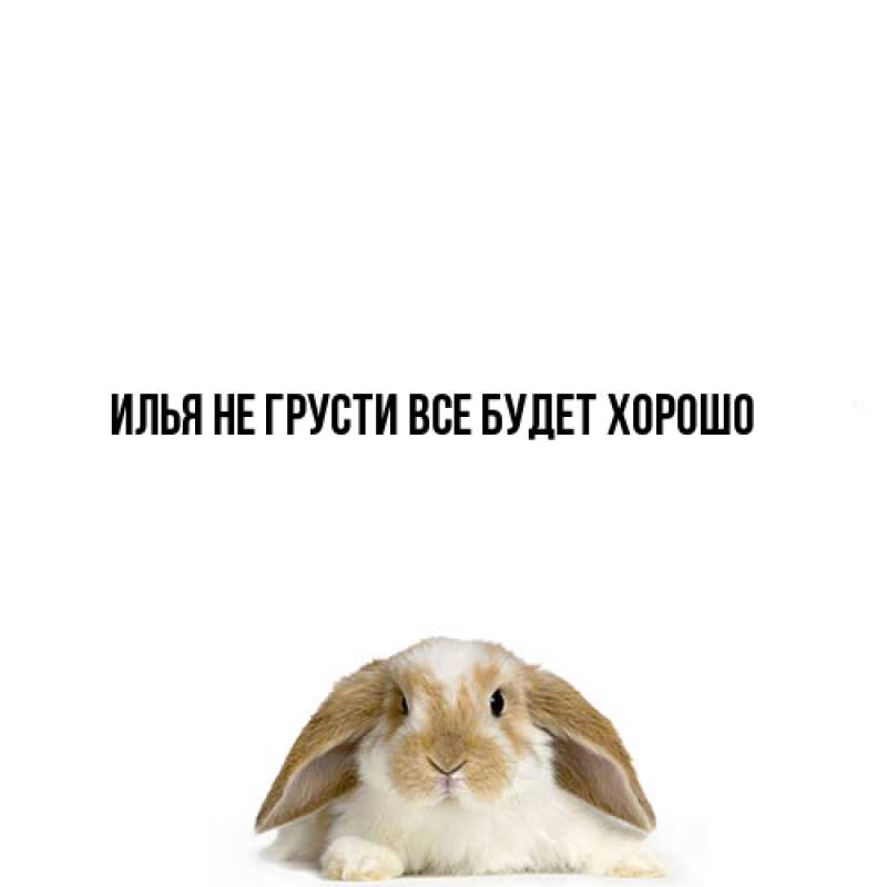 Картинка Не грусти, все будет хорошо, Илья