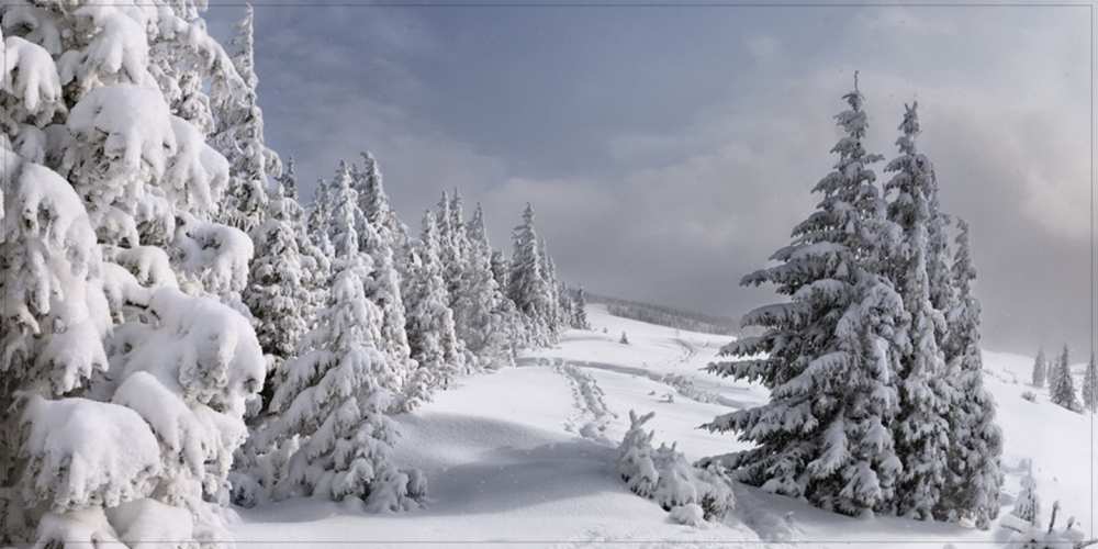 Открытка на каждый день с именем, Аполлинарий С хорошим утром пасмурное утро Прикольная открытка с пожеланием онлайн скачать бесплатно 
