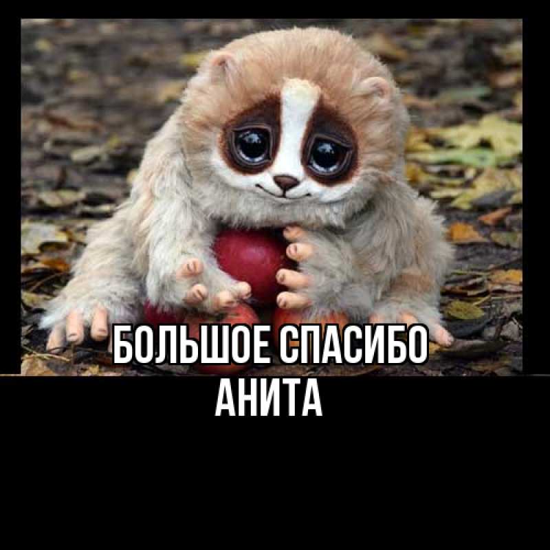 Картинка Большое спасибо, Анита