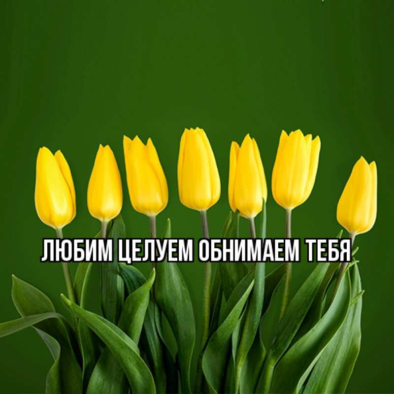 Картинка Люблю тебя, Ненаглядный мой