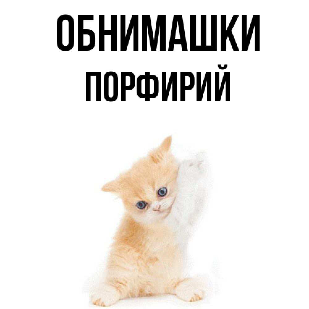 Открытка на каждый день с именем, Порфирий Обнимашки я хочу очень скорее обнимаешек Прикольная открытка с пожеланием онлайн скачать бесплатно 