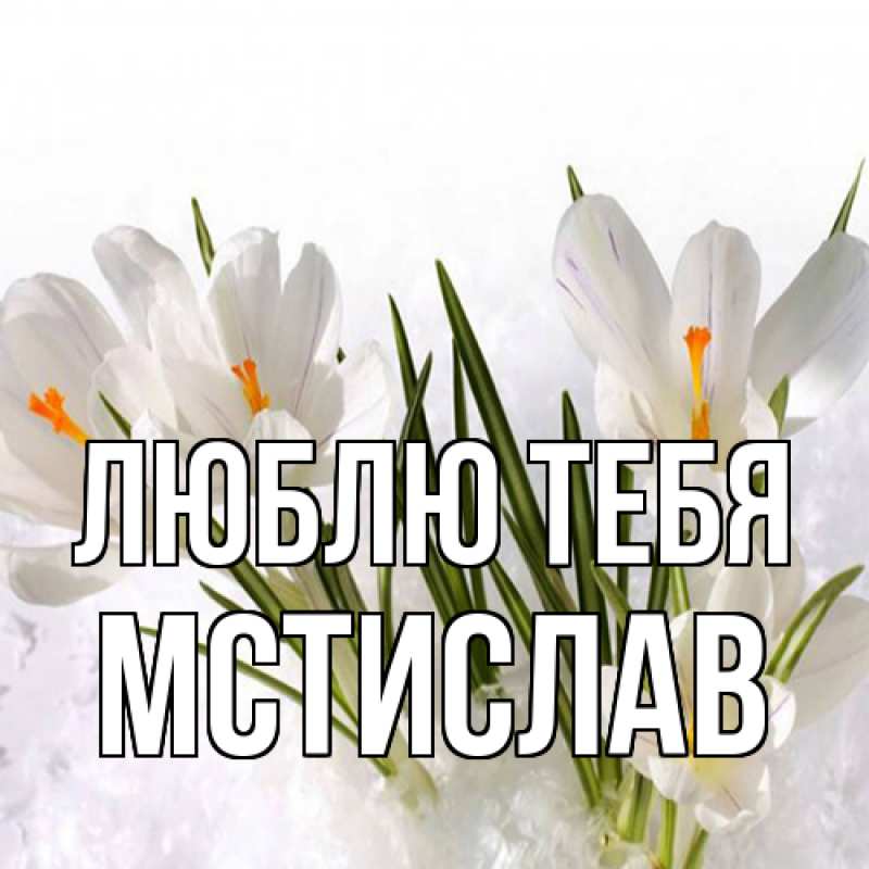 Картинка Люблю тебя, Мстислав