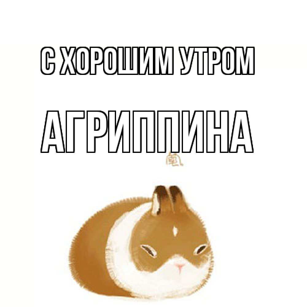 Открытка на каждый день с именем, Агриппина С хорошим утром хорошего утречка Прикольная открытка с пожеланием онлайн скачать бесплатно 