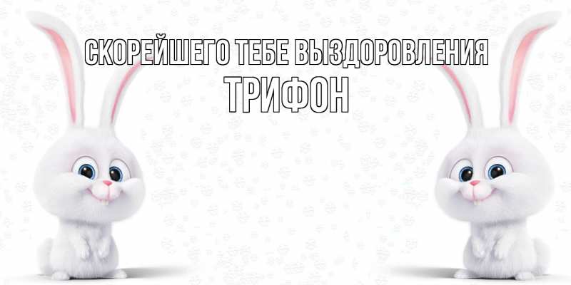 Картинка Скорейшего тебе выздоровления, Трифон