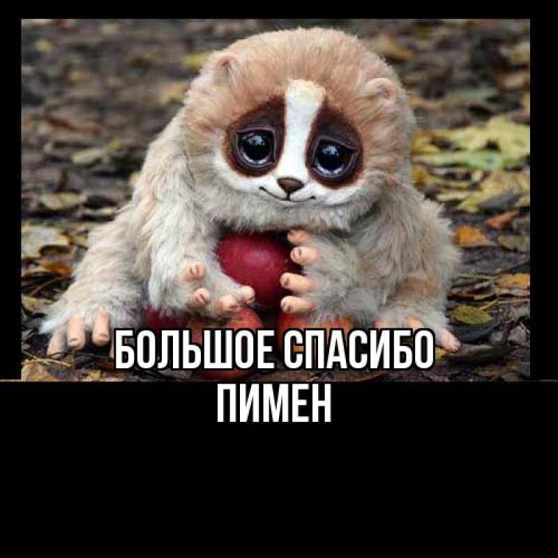 Картинка Большое спасибо, Пимен