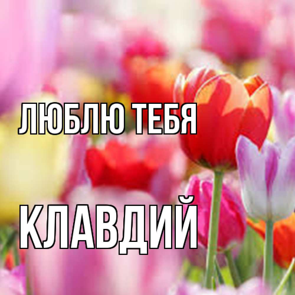 Открытка на каждый день с именем, Клавдий Люблю тебя на международный женский день 2 Прикольная открытка с пожеланием онлайн скачать бесплатно 