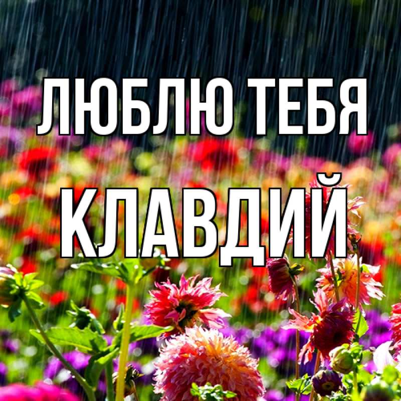 Картинка Люблю тебя, Клавдий