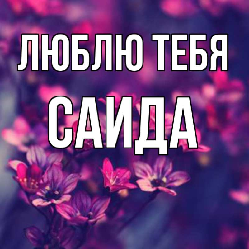 Картинка Люблю тебя, Саида
