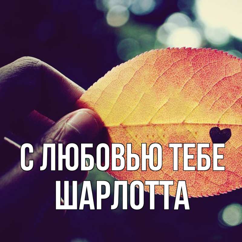Картинка С любовью тебе, Шарлотта
