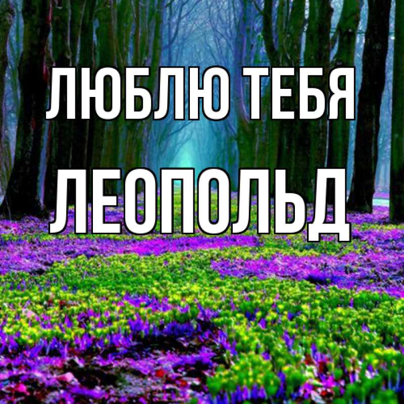 Картинка Люблю тебя, Леопольд