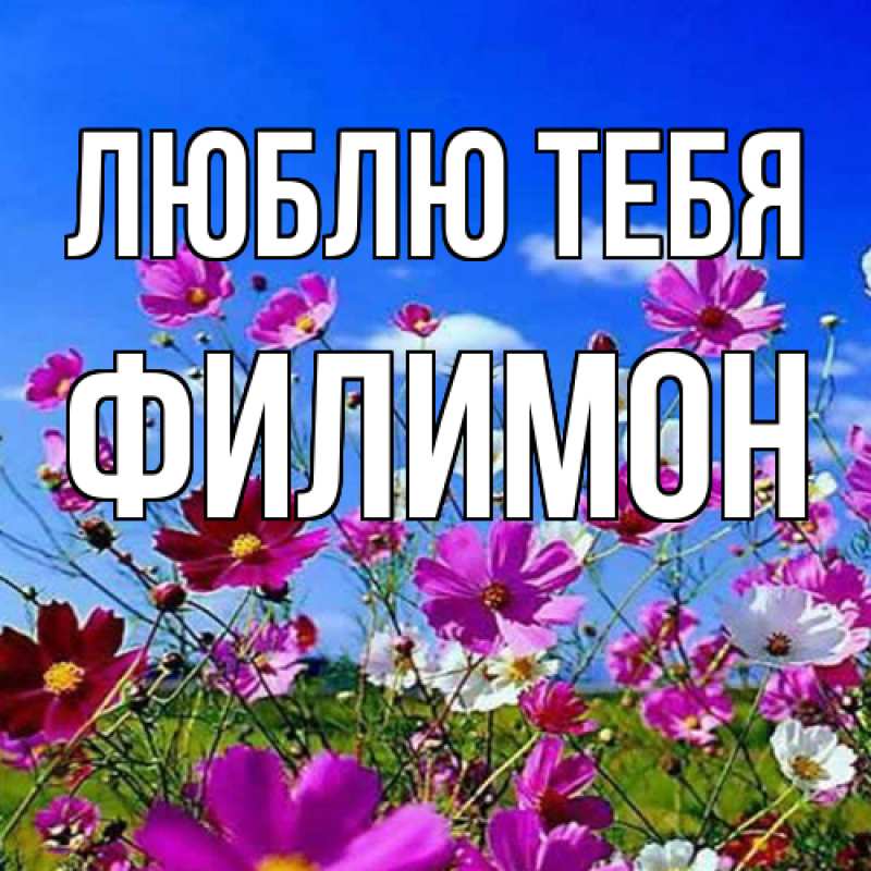 Картинка Люблю тебя, Филимон