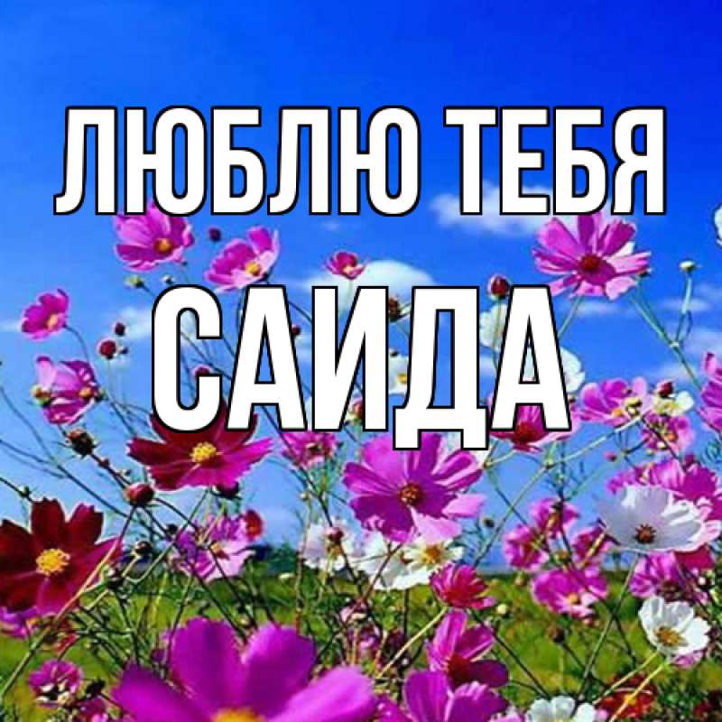 Картинка Люблю тебя, Саида
