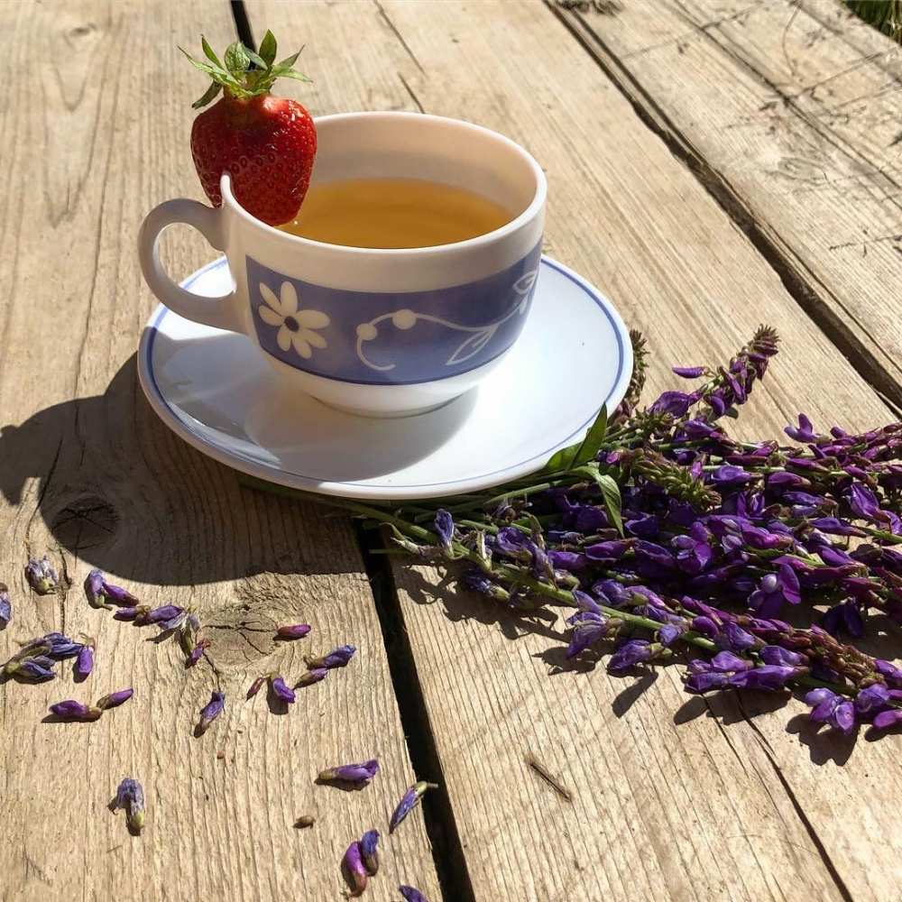 Открытка на каждый день с именем, Елизар Скорейшего тебе выздоровления чай Прикольная открытка с пожеланием онлайн скачать бесплатно 