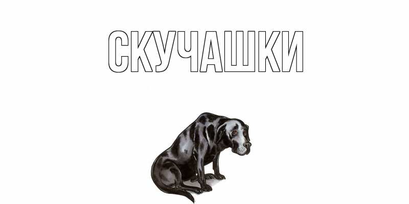 Картинка Скучашки, 